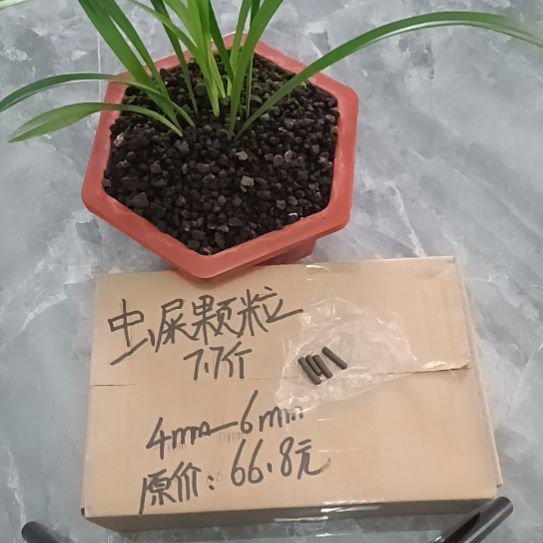 九***戒兰菌黑山土虫屎颗粒7.7斤