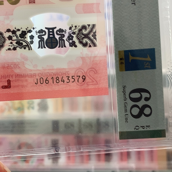 塑料乱蛇，首日，3579