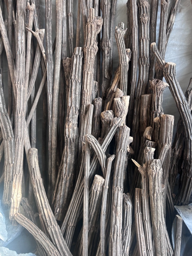 太行山降龙木，六道木，九道木，五台山六道木，手把棍，车载棍，鞭杆木