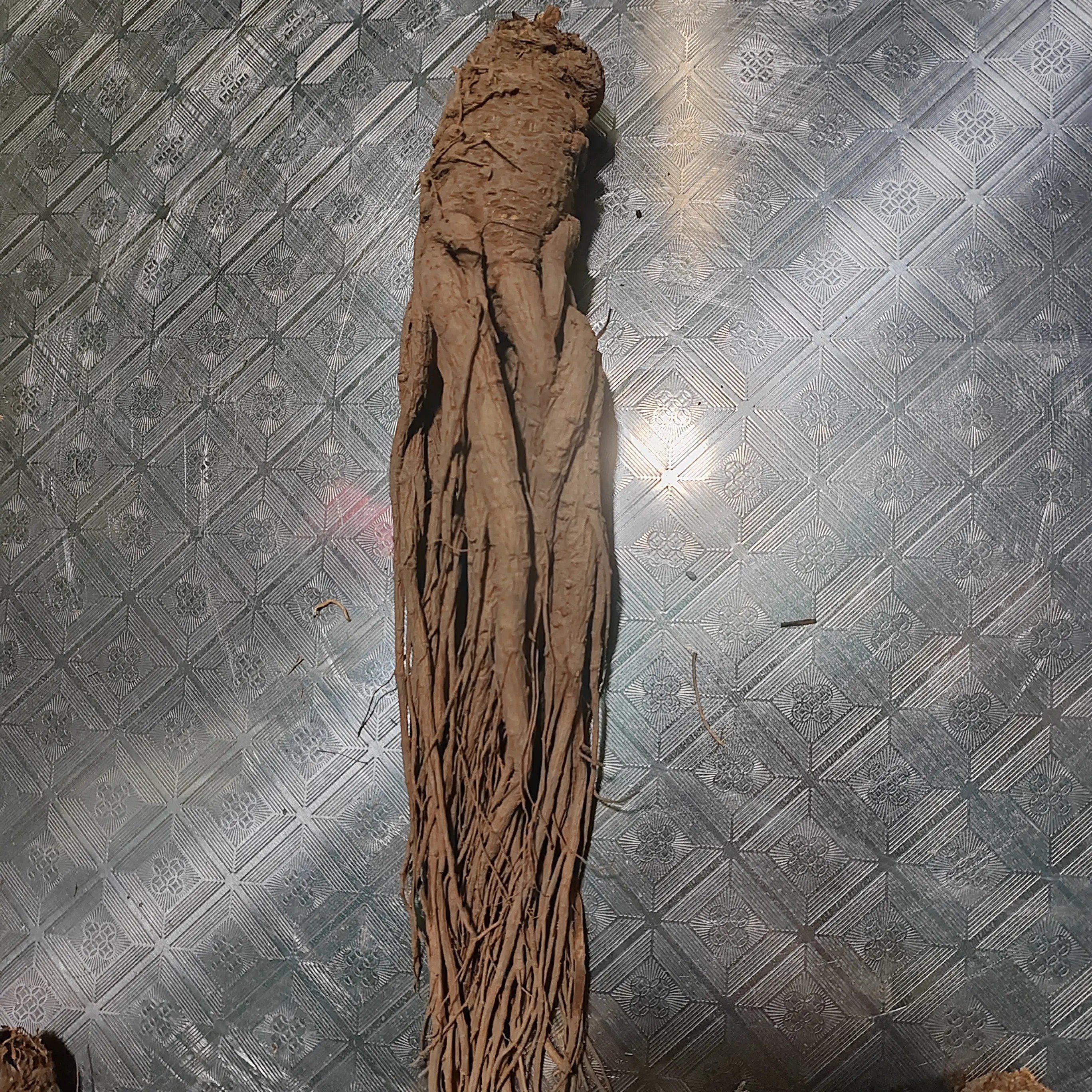 甘肃岷县原产地当归可煲汤滋补养生食材