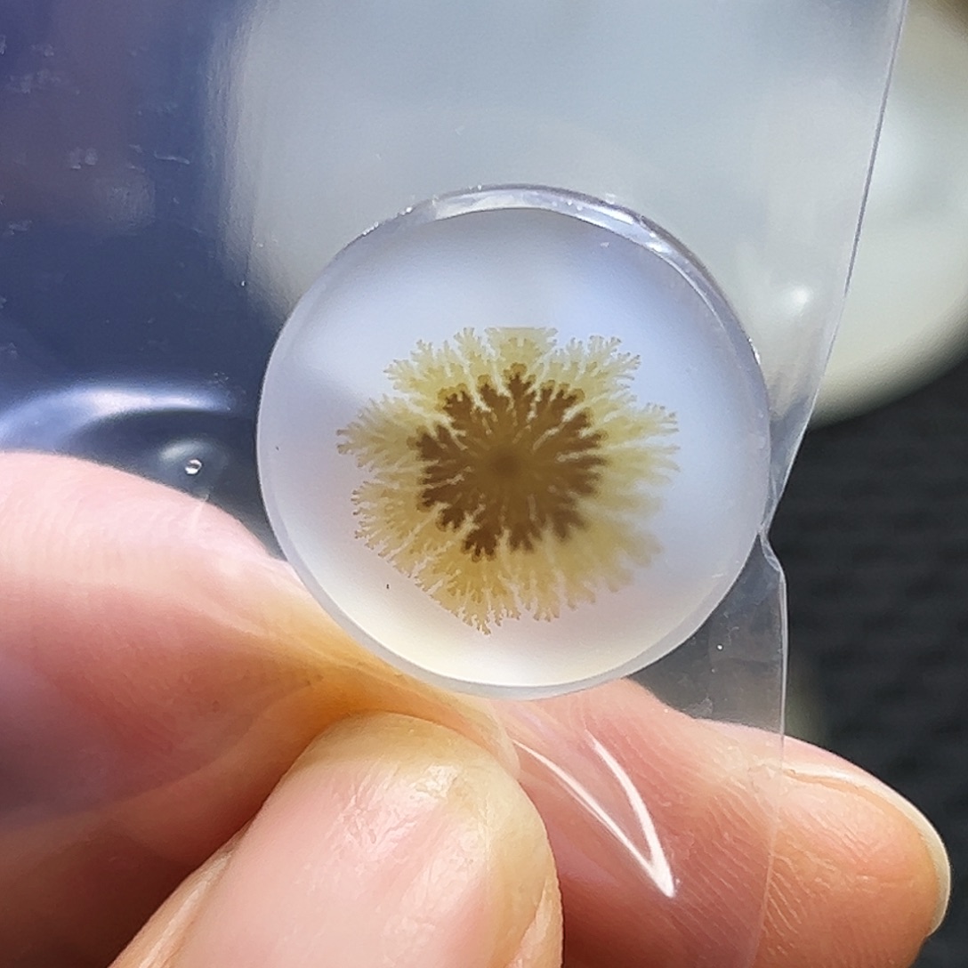 如***戏玛瑙/玉髓未镶嵌珠宝半成品