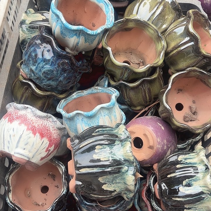 紫砂茶碗颜色混搭八个口径11*9