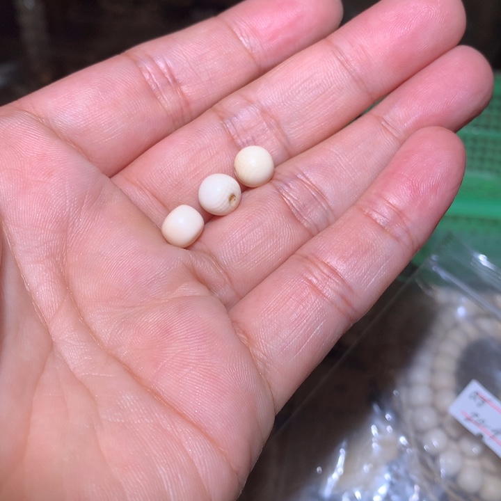 i***k猛犸象牙手串/手链/手镯猛犸牙