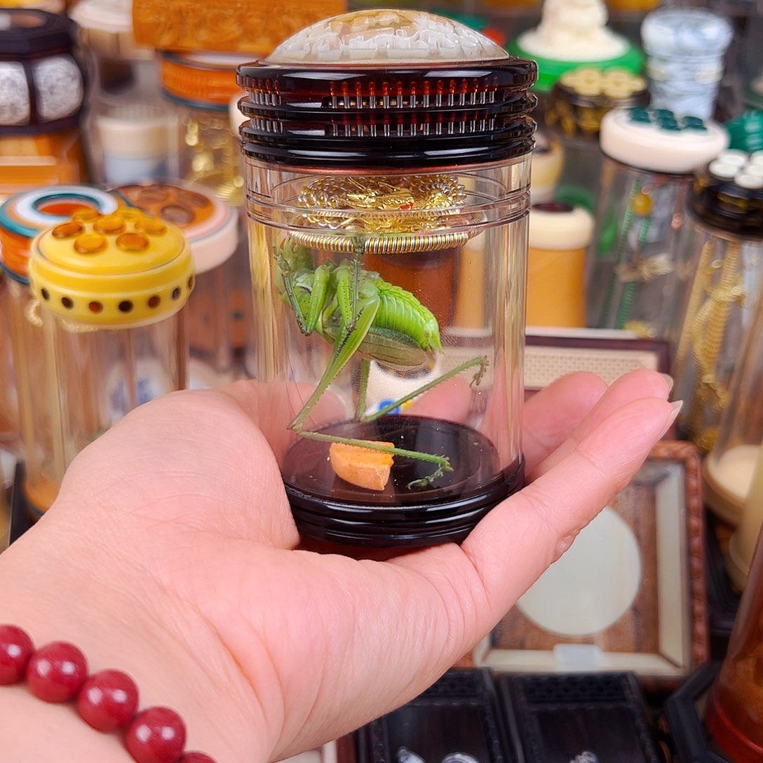 茶色福字蒙心款蝈蝈罐配龙簧绿蝈蝈