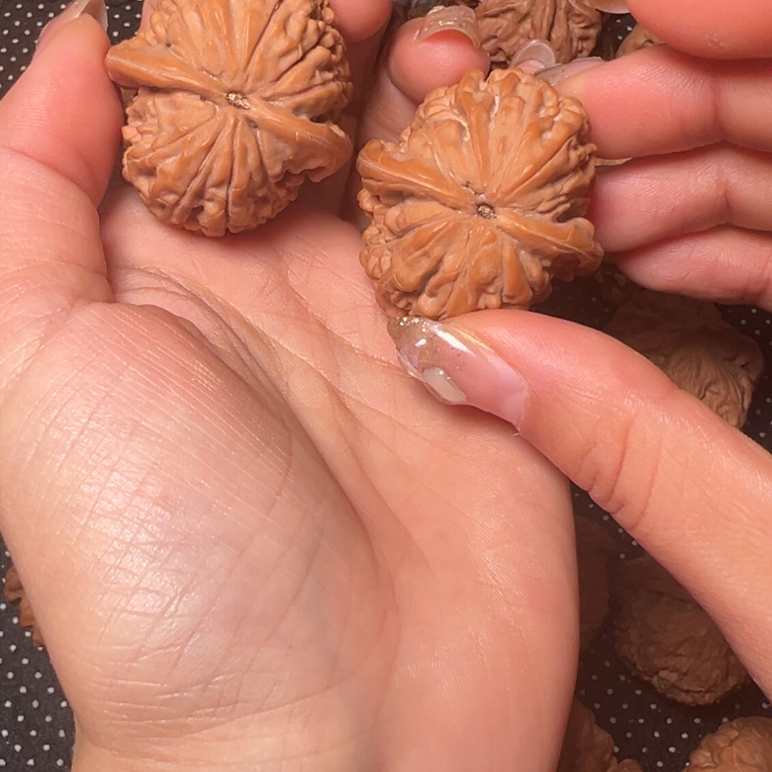 杨***帆莲花，边37➕，肚40，