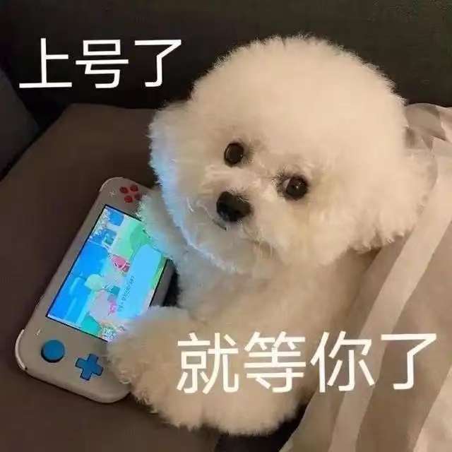 牛角粥保护玩偶模型周边