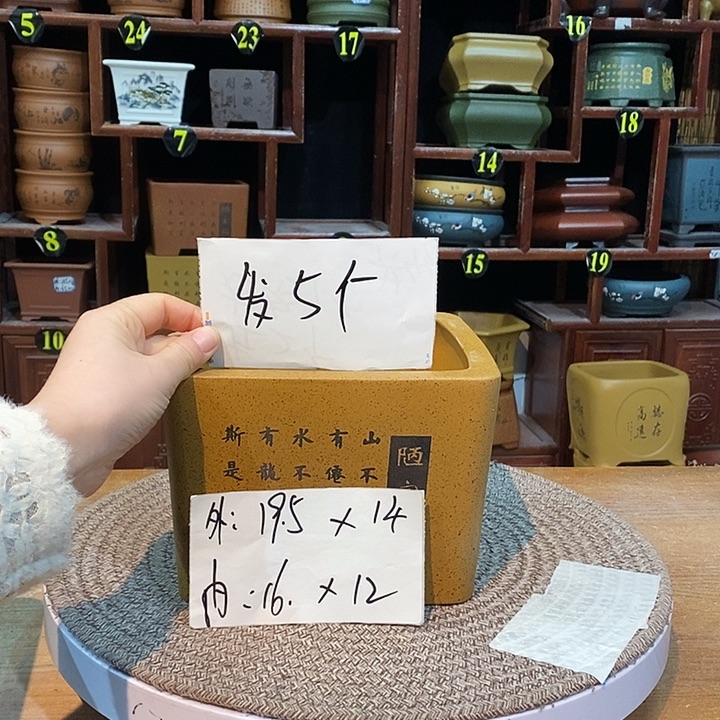 紫砂花盆紫砂花盆