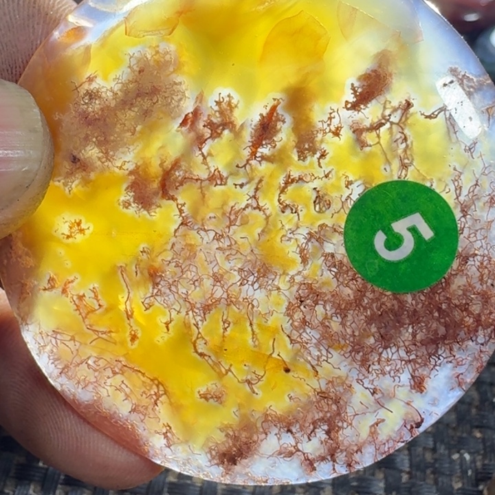 正***。玛瑙/玉髓未镶嵌颈饰