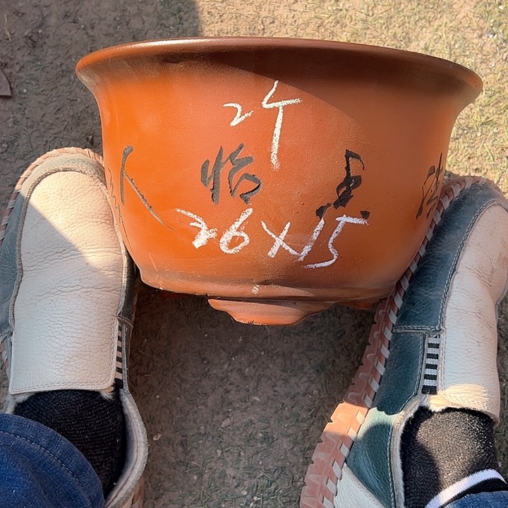 红陶紫砂工艺厂……紫砂工艺厂