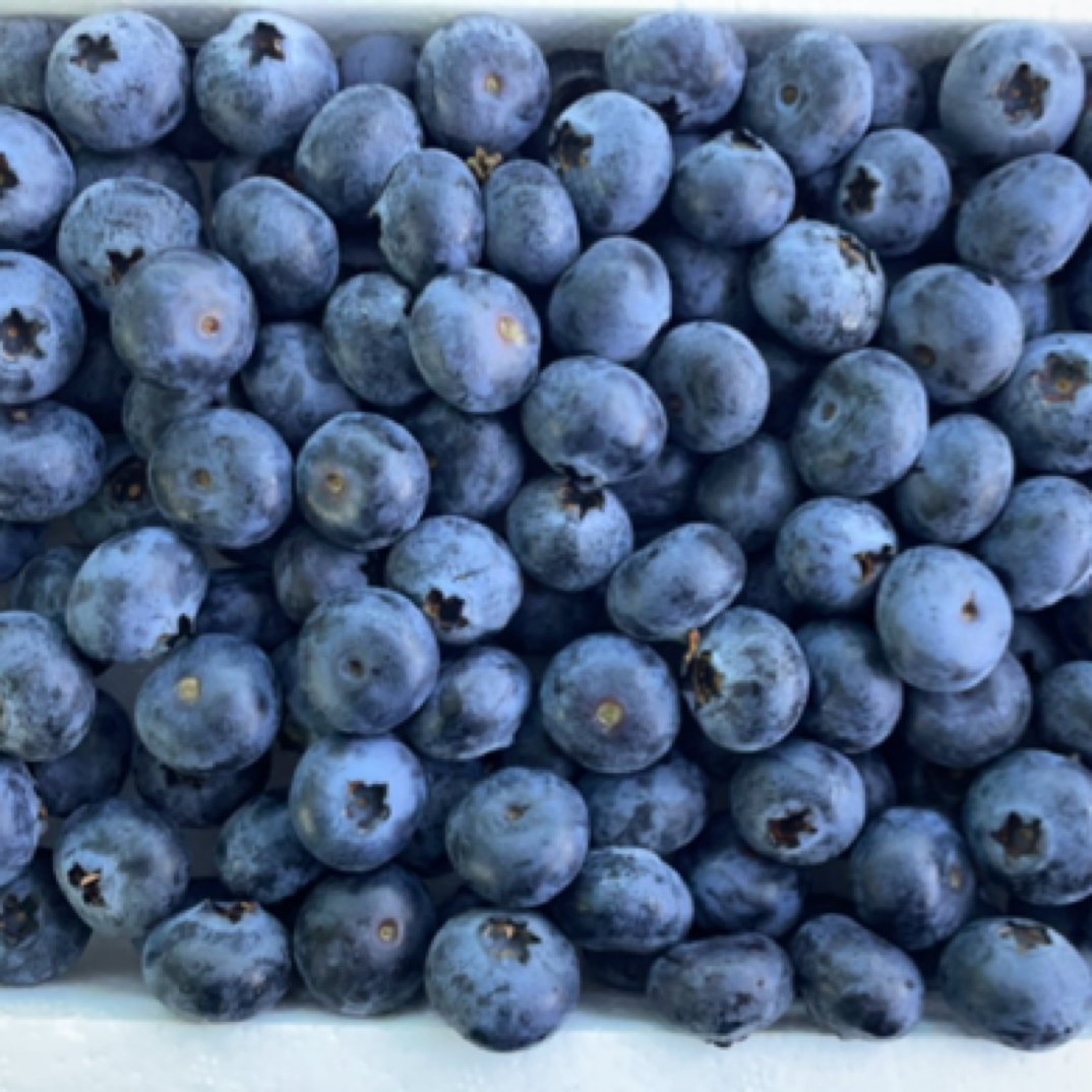 「整盒」云南 脆甜蓝莓 中果泡沫盒装  净约400g