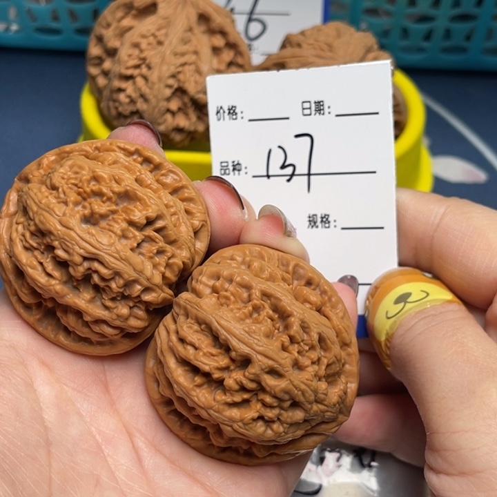 文玩核桃把件粗筋44