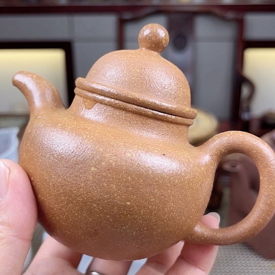 紫砂茶壶今天不知道