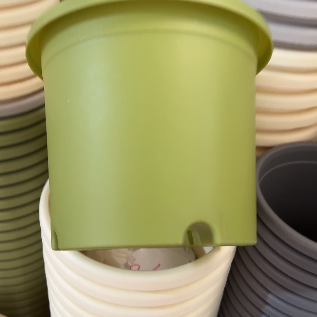 树脂四季3号无托10个果绿