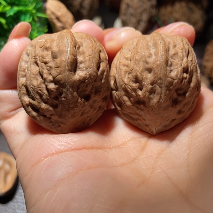 把件文玩核桃东北楸子小雪216