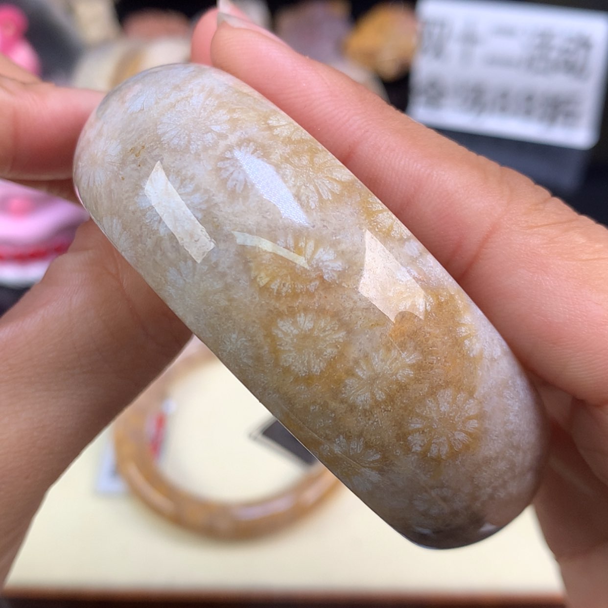 【闪购商品】颈饰未镶嵌硅化珊瑚（珊瑚玉）31号精美手镯57.3圈口