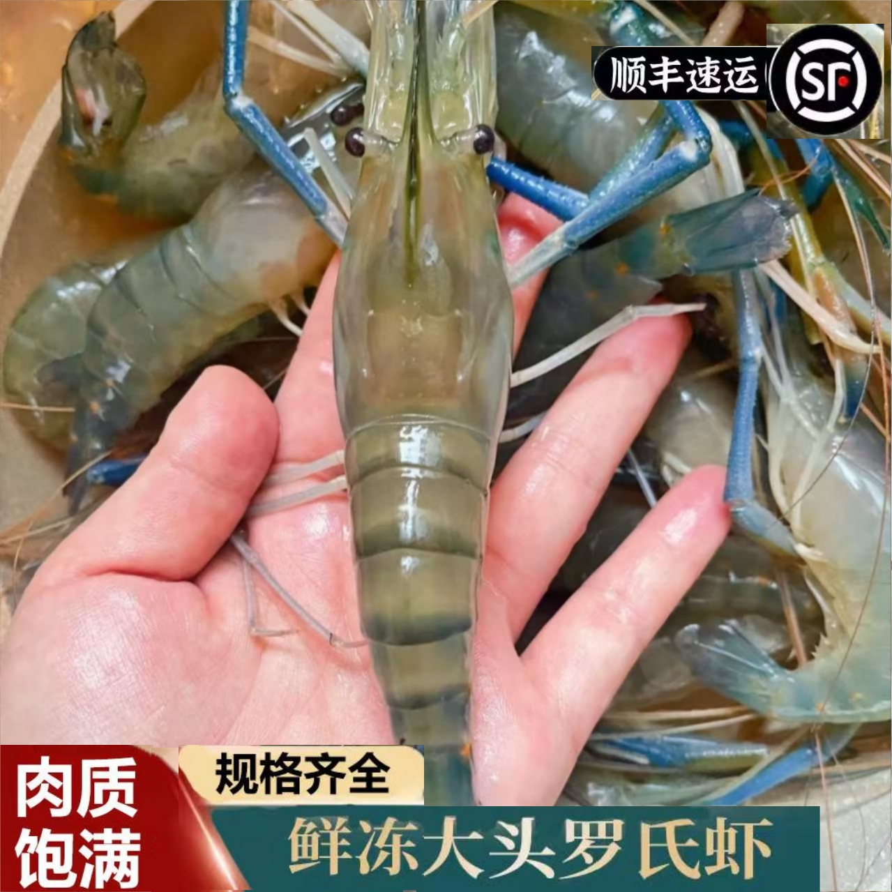 到手3斤顺丰冷链35-40只罗氏虾鲜活速冻肉质鲜嫩海鲜水产罗氏虾