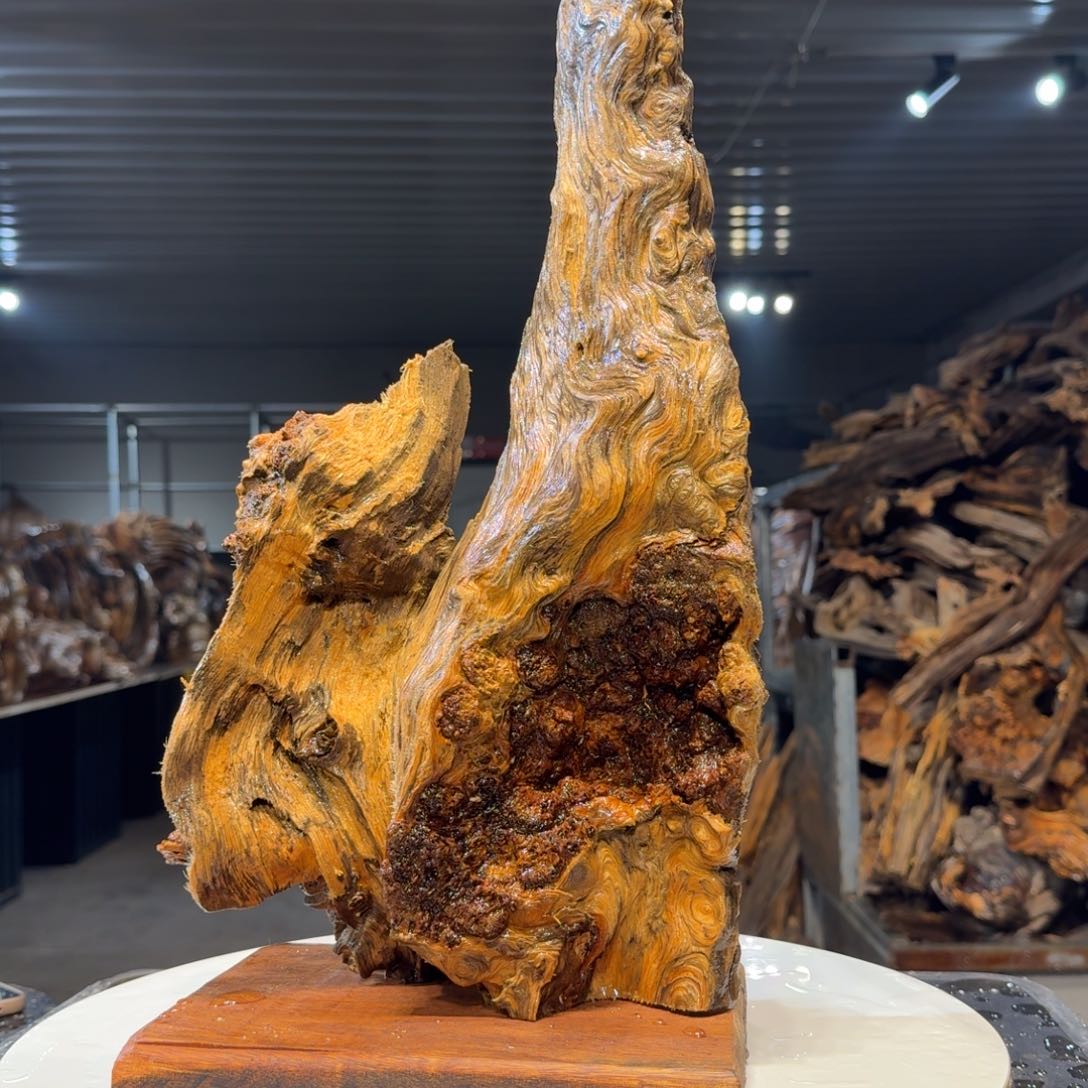 木清*王一刀琥珀木79