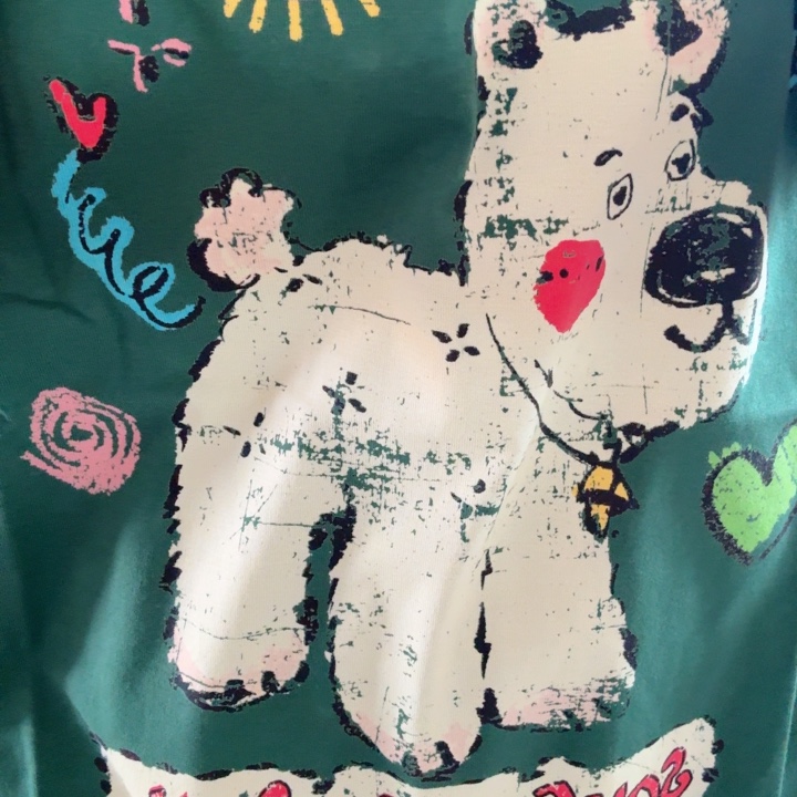 绿色小花狗不退换