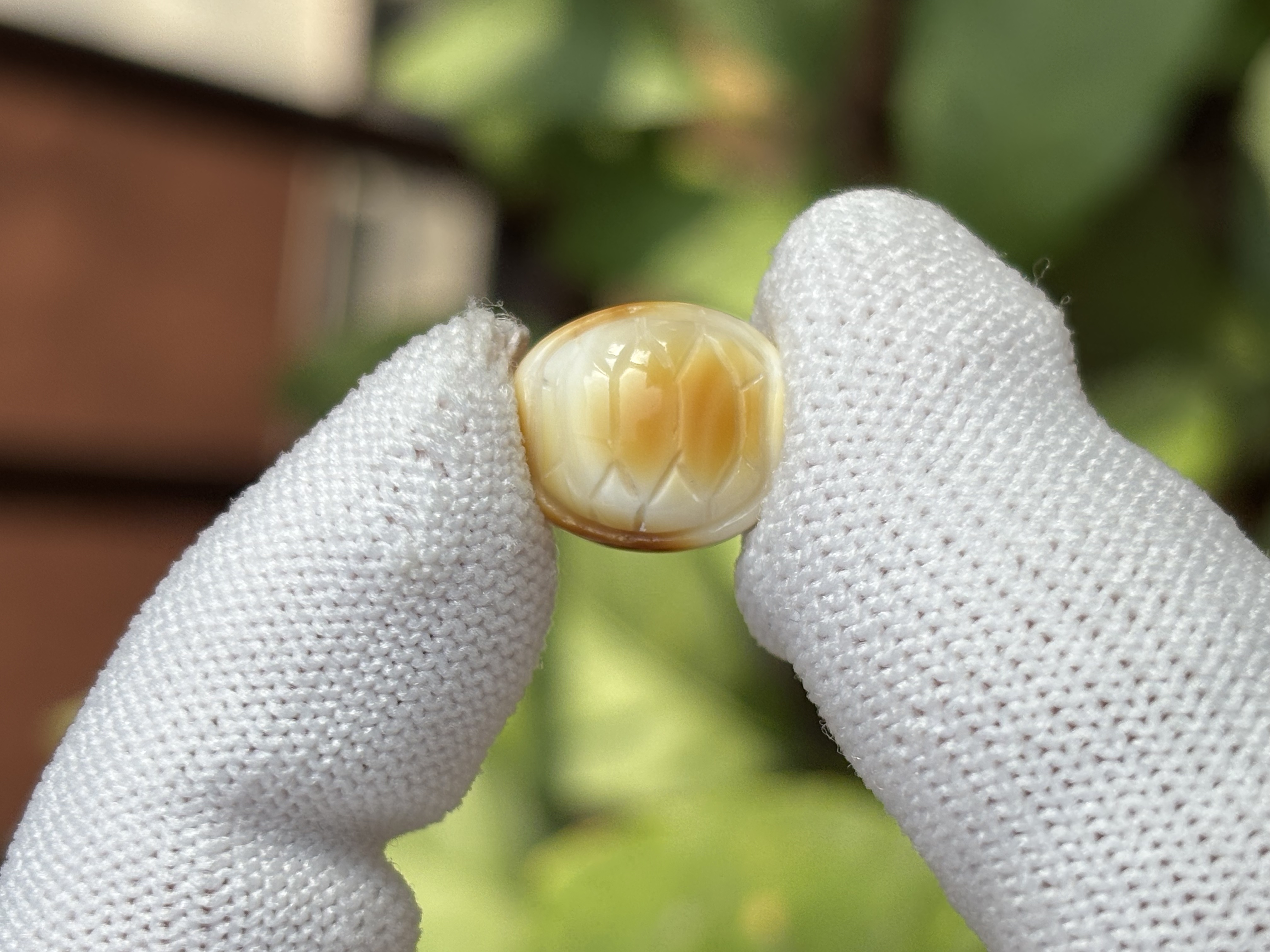 4953天然蜜蜡琥珀富甲配饰12x13.5x7.7mm