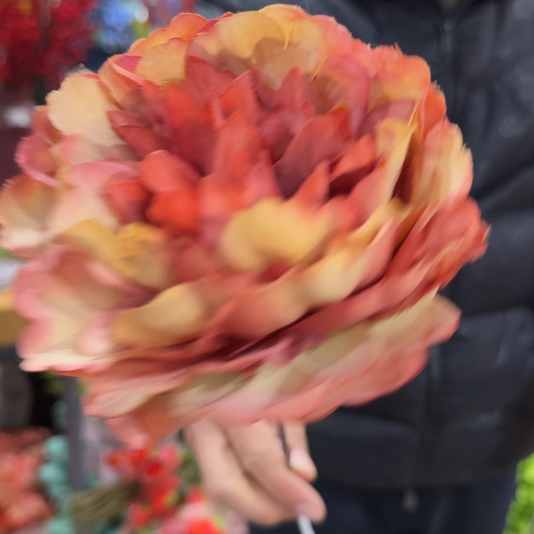 246号单头牡丹25支