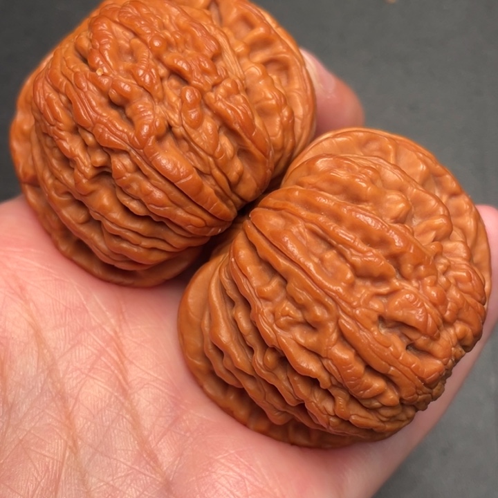 秦岭野生文玩核桃