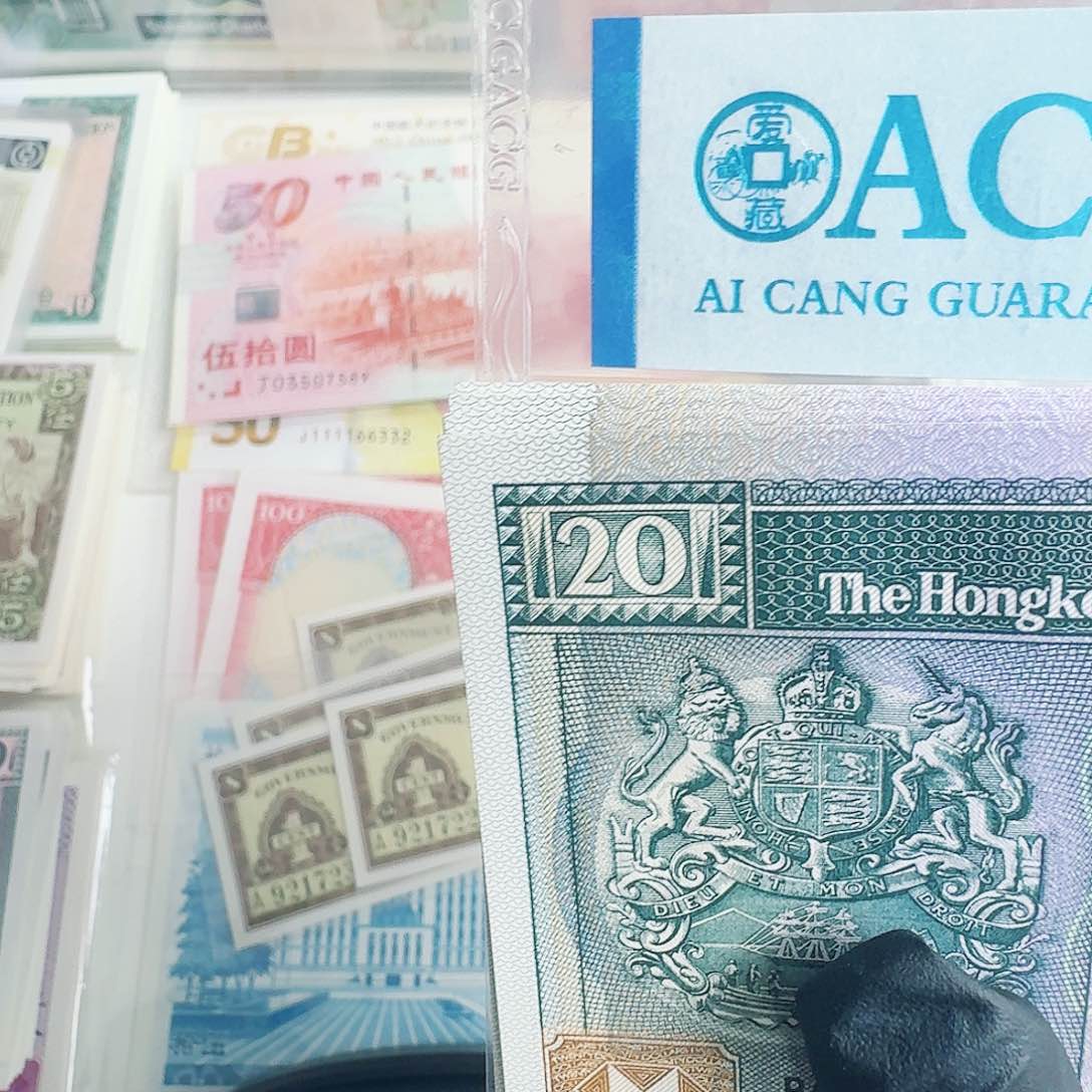 纸黑柴单张哈哈哈哈