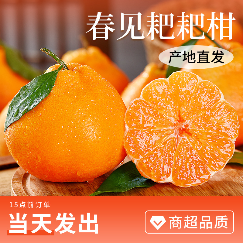 正宗四川春见耙耙柑粑粑柑橘子当季新鲜水果蔬果丑橘丑桔年货