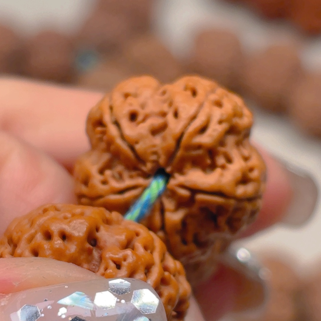 金刚菩提手串22龙牙梅花