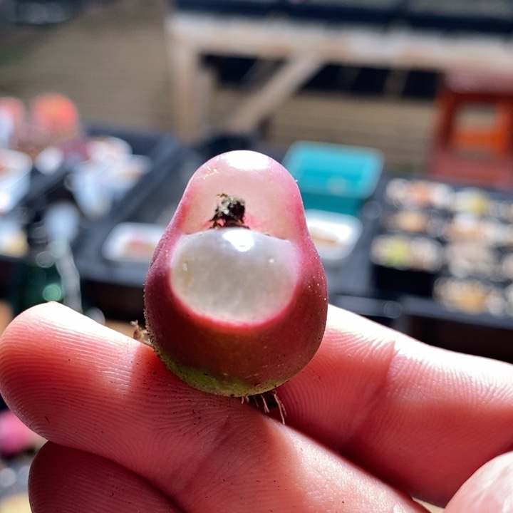 4136一个一个一个