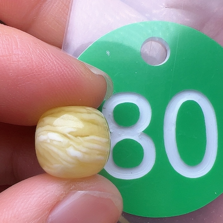 蜜蜡裸石未镶嵌11/10m m