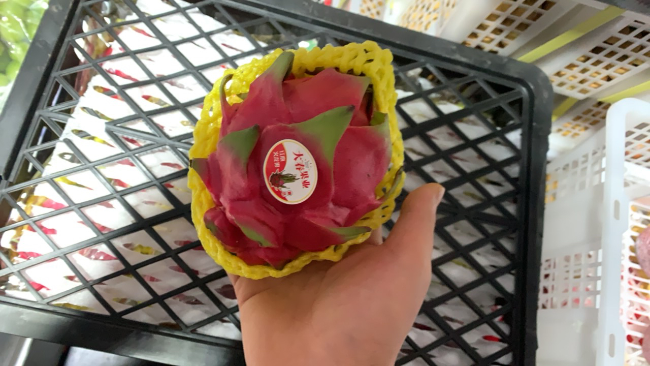 国产甜口红心火龙果一个