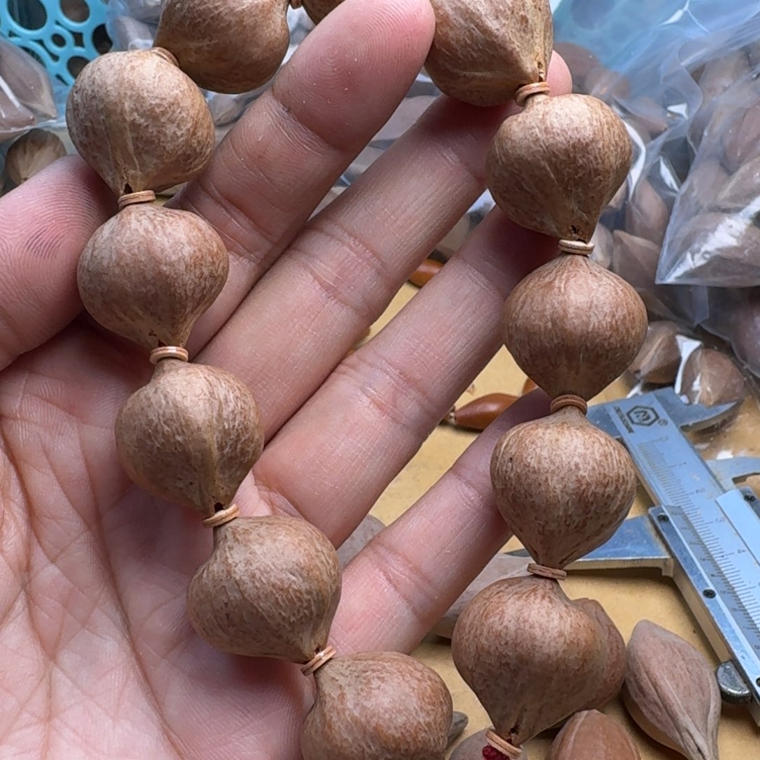 伯***尹橄榄核手串/手链1