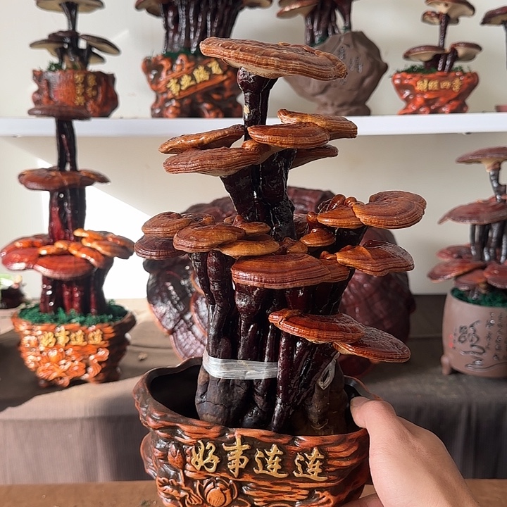 用***7无花朵88888888888