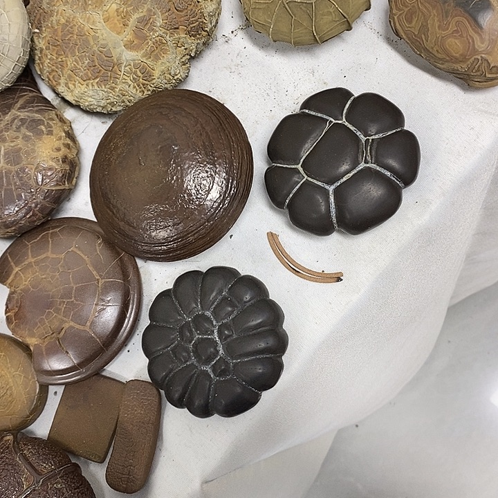 特***～去付费吧谢谢谢谢