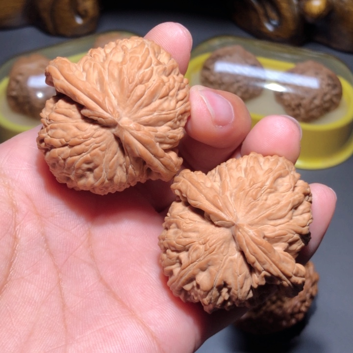 文玩核桃把件43白狮子