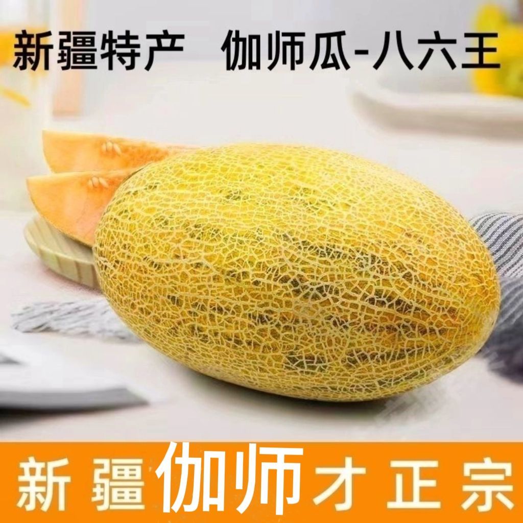 【顺丰/京东]正宗新疆伽师瓜八六王新鲜水果脆甜爽口新疆直发