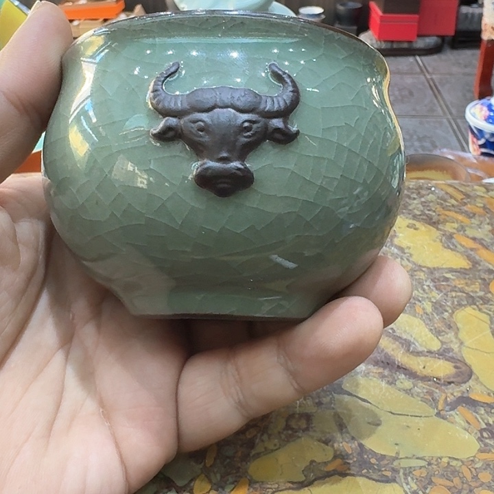 风水缸主人杯一个……