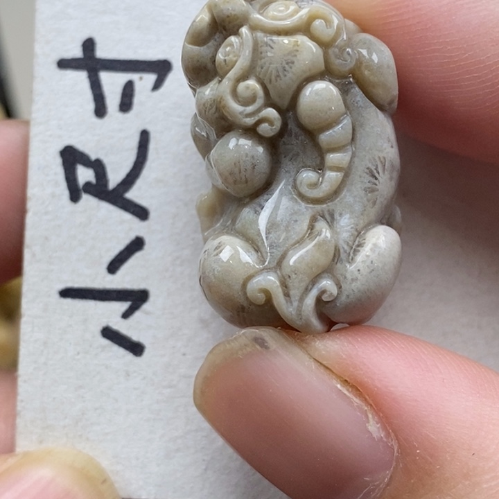 硅化珊瑚（珊瑚玉）未镶嵌颈饰