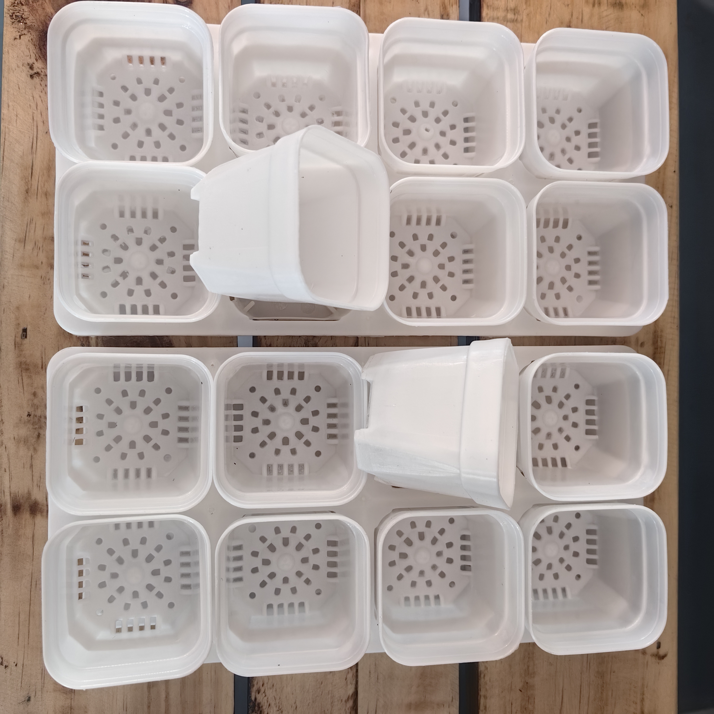 5.5厘米多肉专用特价方花盆捡漏塑料花盆家用塑料多肉花盆清仓