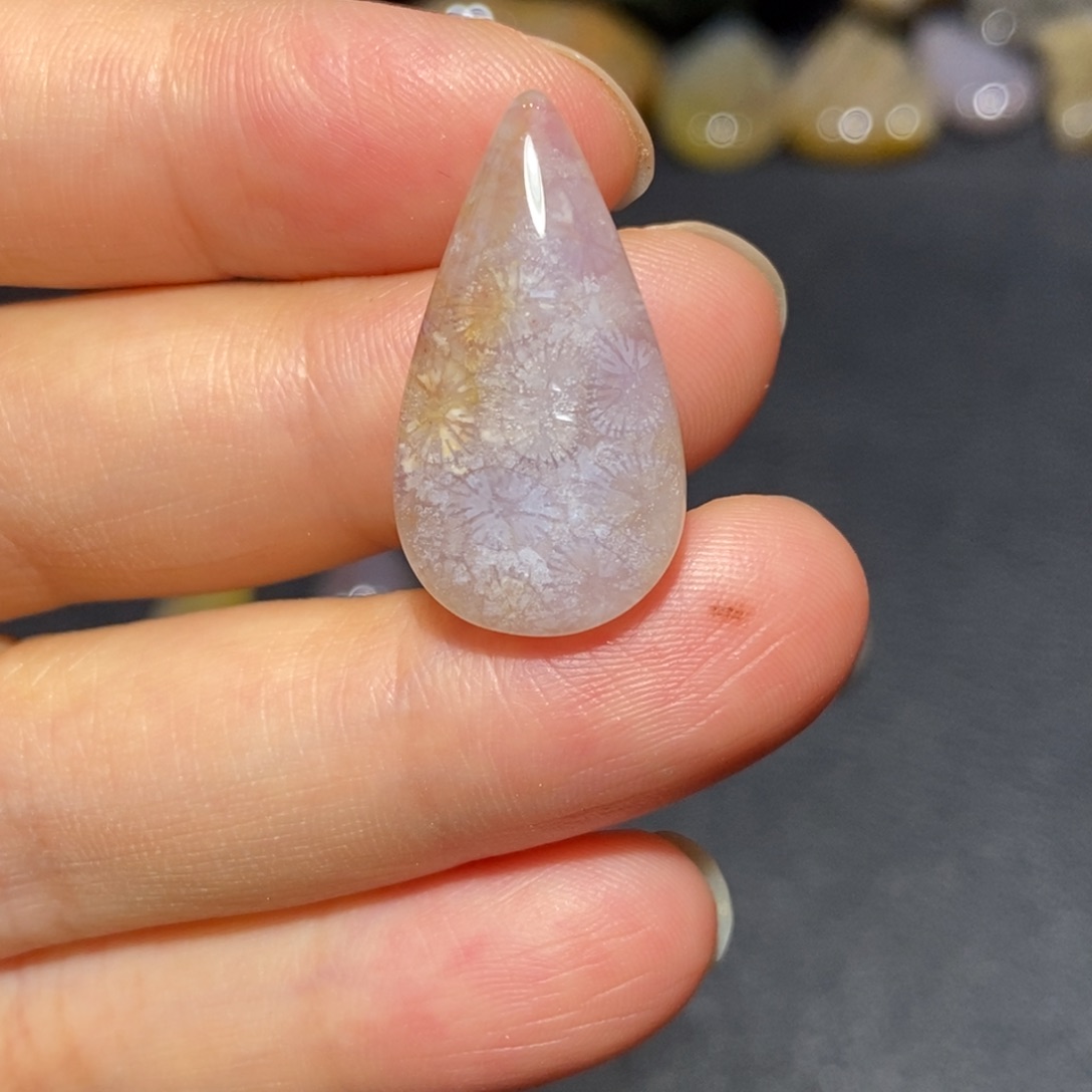 【闪购商品】未镶嵌珊瑚玉硅化玉