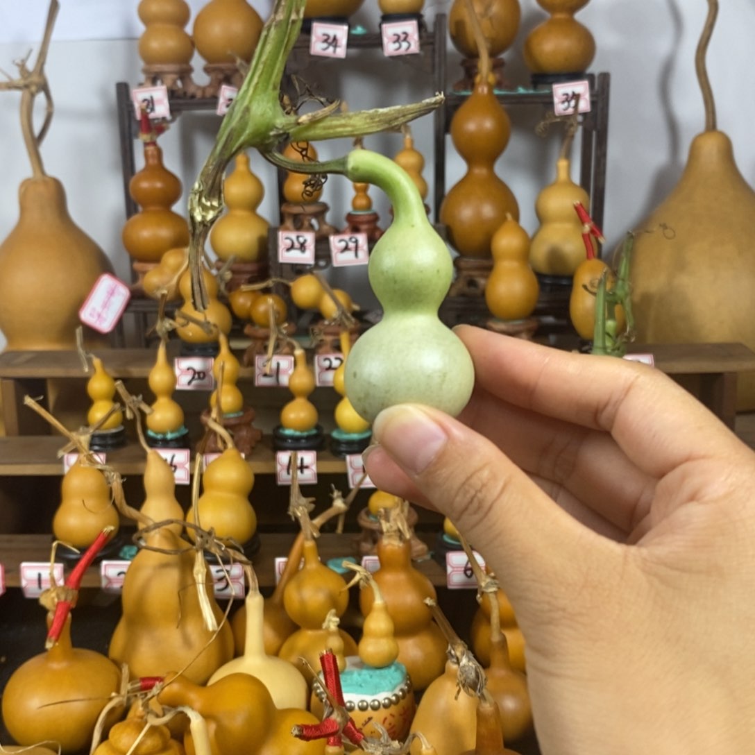 レ**得文玩葫芦精品青皮不包成