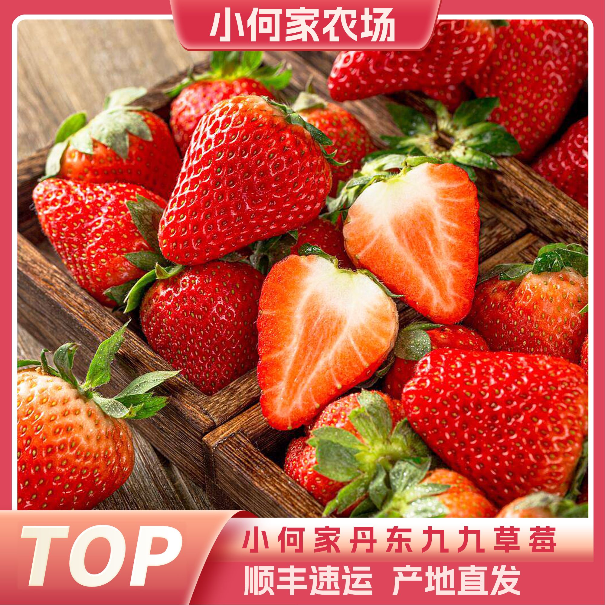 「正宗丹东草莓」丹东九九99红颜牛奶大草莓新鲜香甜产区现摘空运