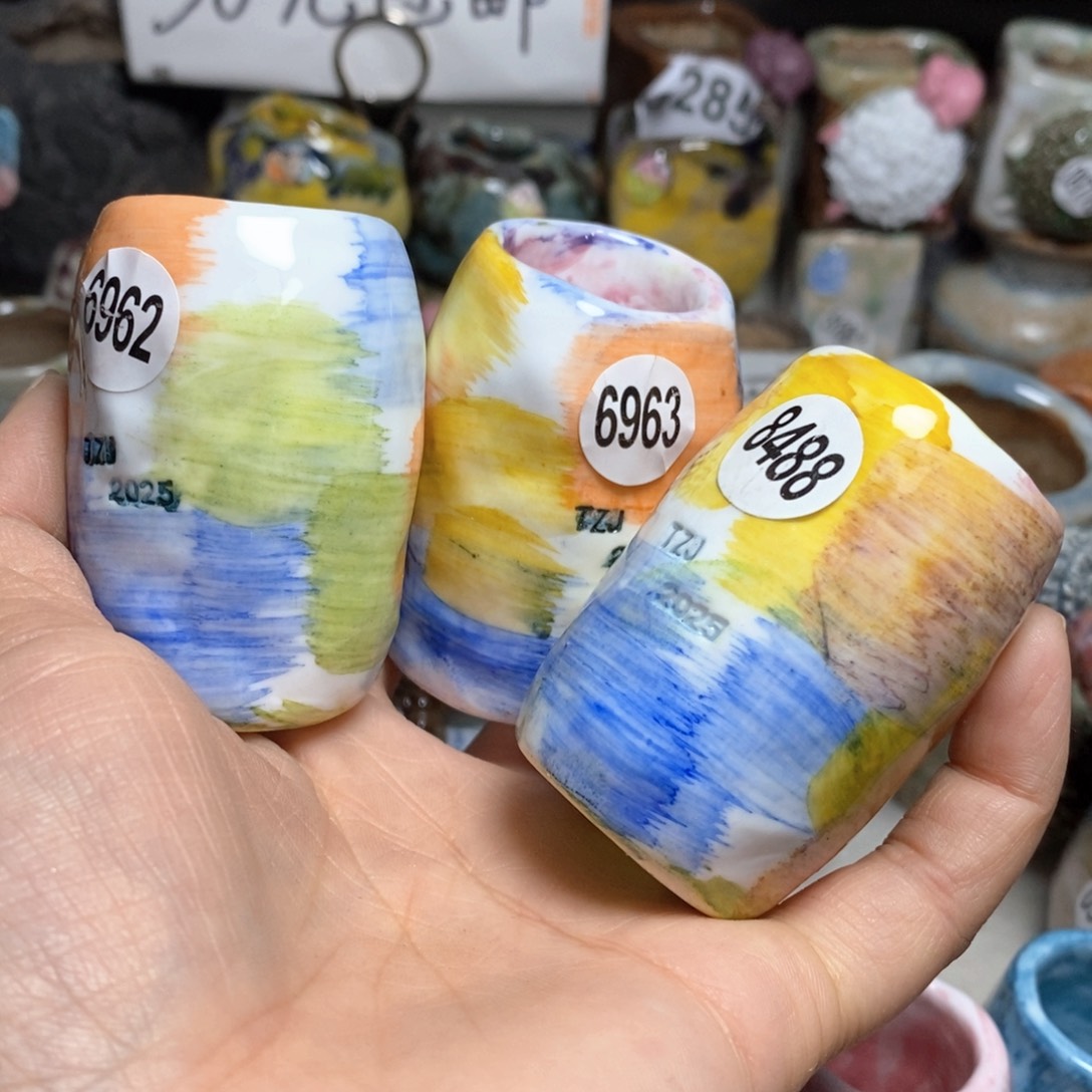 拍3送一个小礼物