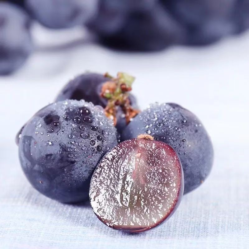 云南夏黑葡萄新鲜采摘应当季空运孕妇水果无籽黑加仑提子