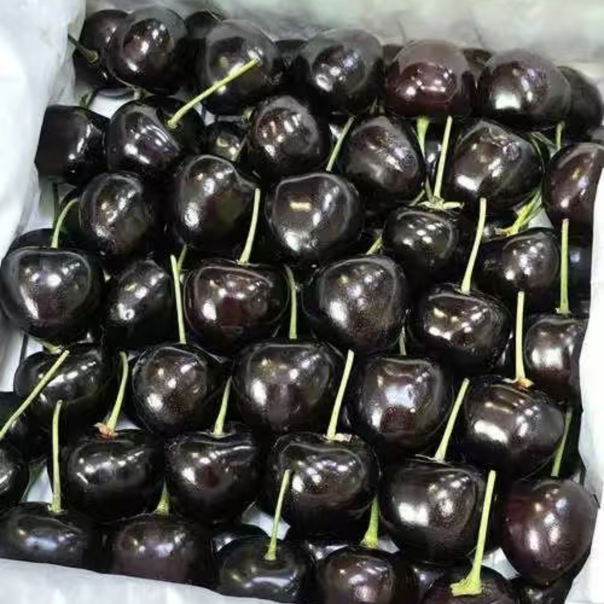 新鲜进口阿雅娜车厘子品种2J包甜特别新鲜净重5斤小时达到家海运货阿雅娜国外