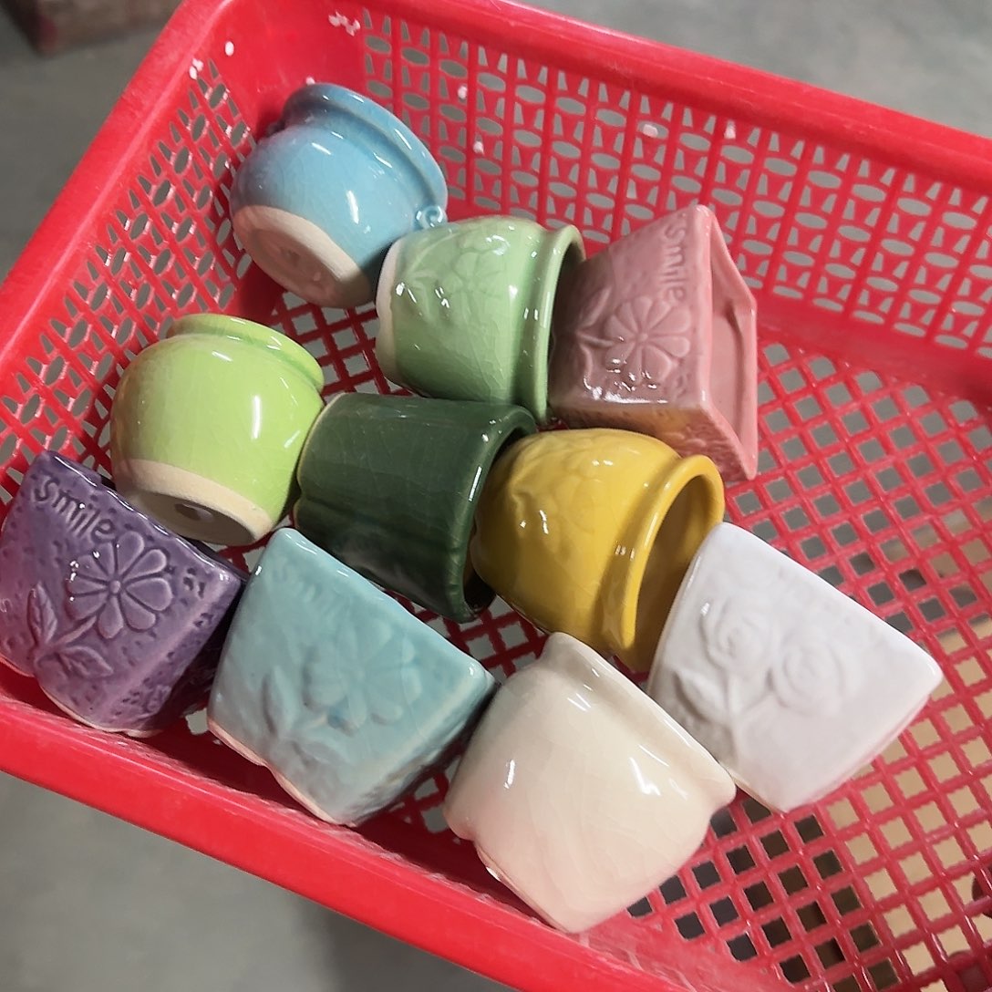 10个特价盆·清仓价·凑9元发·