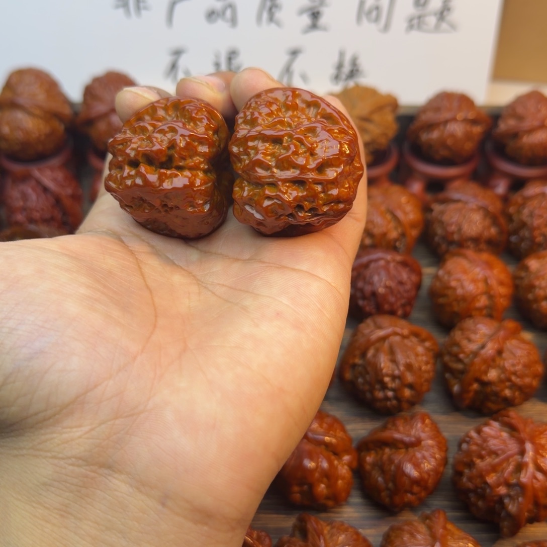 菩提籽类蛤蟆头宝贝