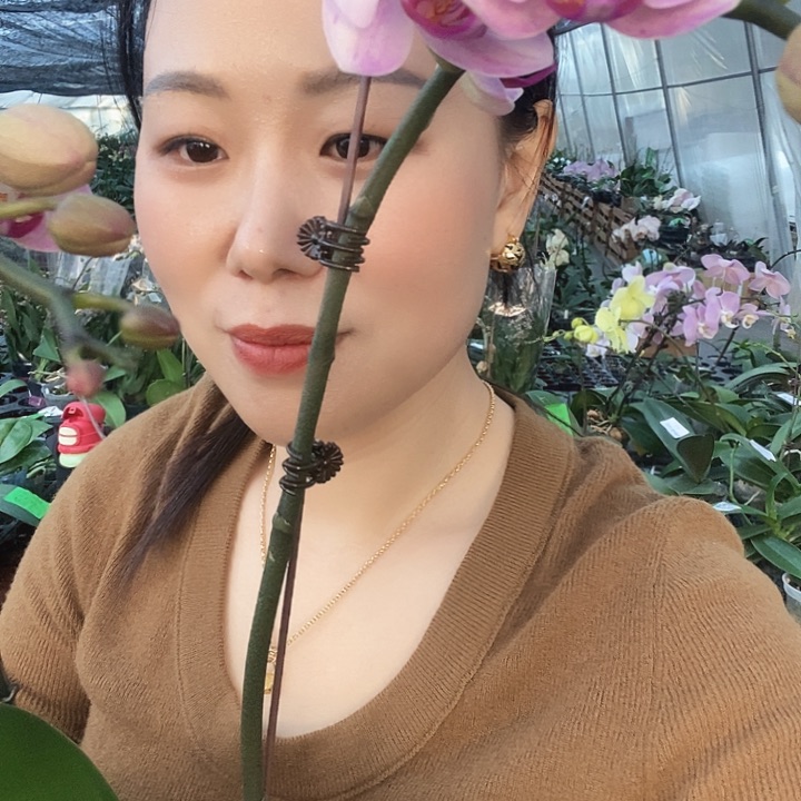 无花朵杭州美女蝴蝶兰