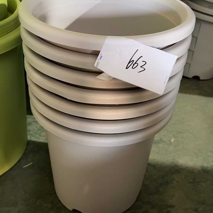 编号663瑕疵3个无托