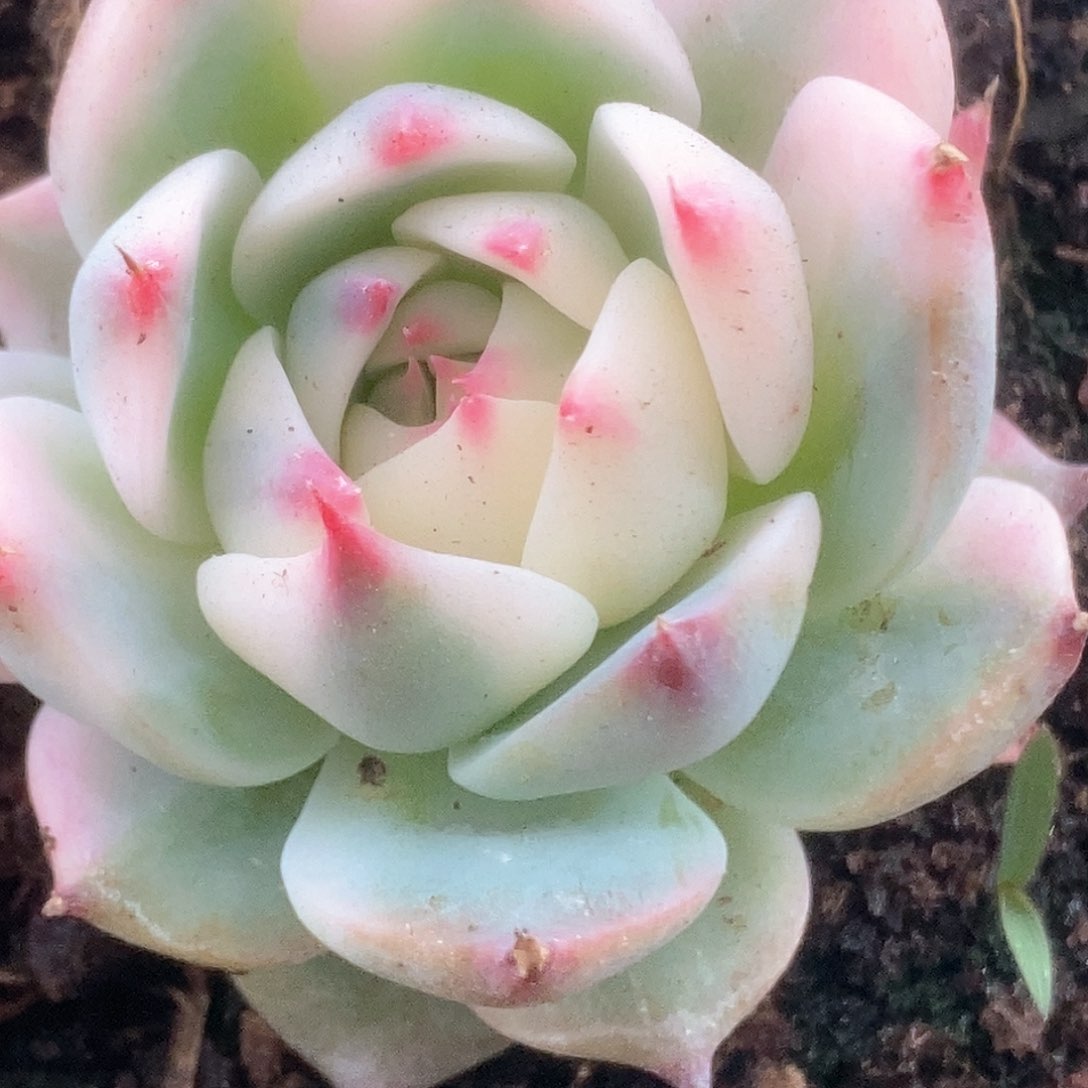 048锦锦锦锦锦锦锦锦锦